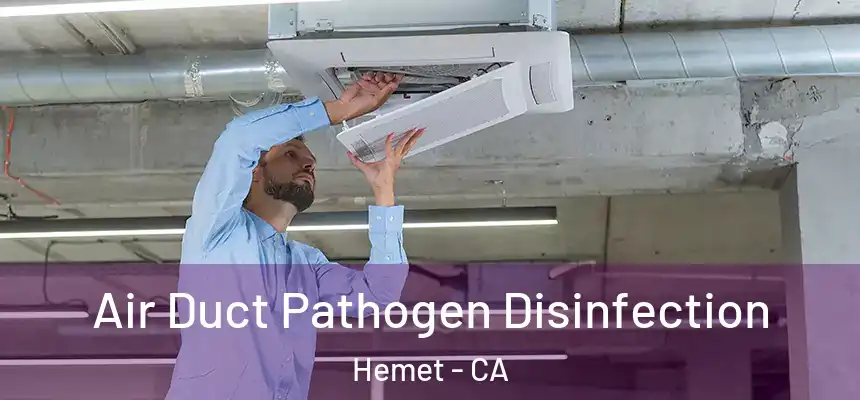 Air Duct Pathogen Disinfection Hemet - CA