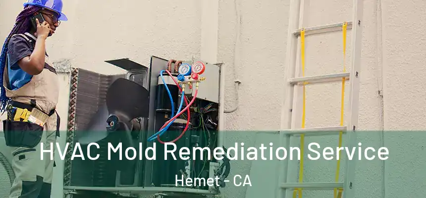 HVAC Mold Remediation Service Hemet - CA