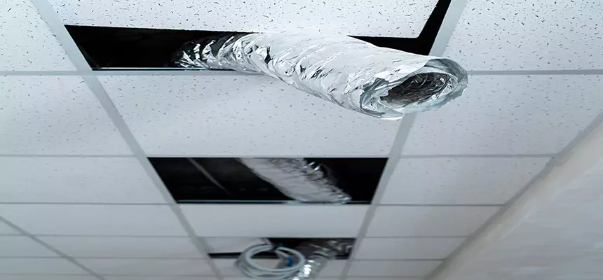 Affordable HVAC Sanitizing After Pest Removal in Hemet