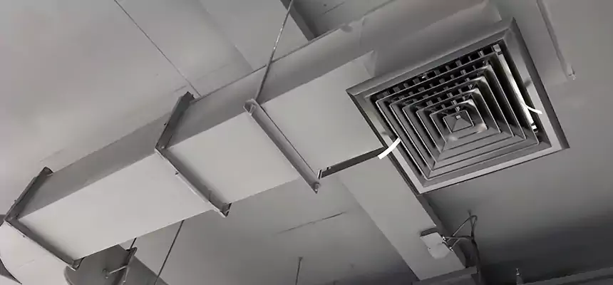 Restorative Allergy Relief Vent Cleaning – Coil, Blower & Housing Detail in Hemet