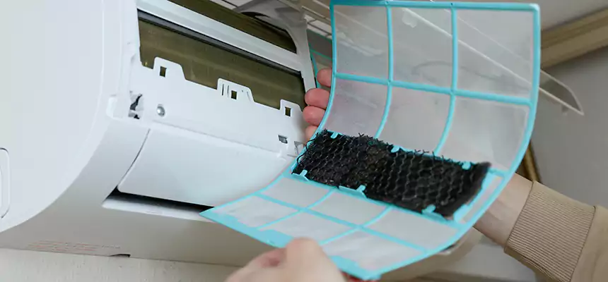 Gentle Ductwork Odor-Control Pet Dander Duct Cleaning in Hemet, CA