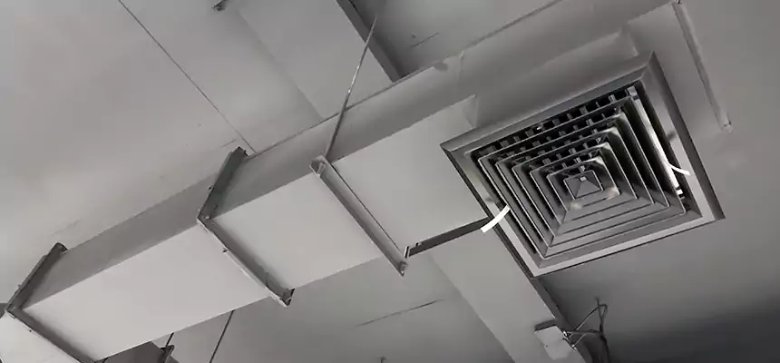 Our Rodent Droppings In Vents Services in Hemet, CA