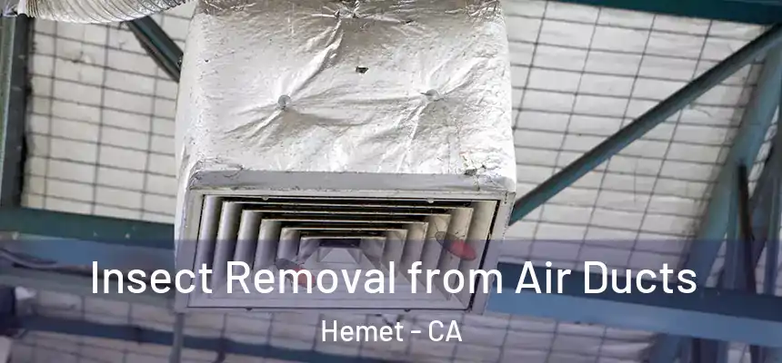 Insect Removal from Air Ducts Hemet - CA