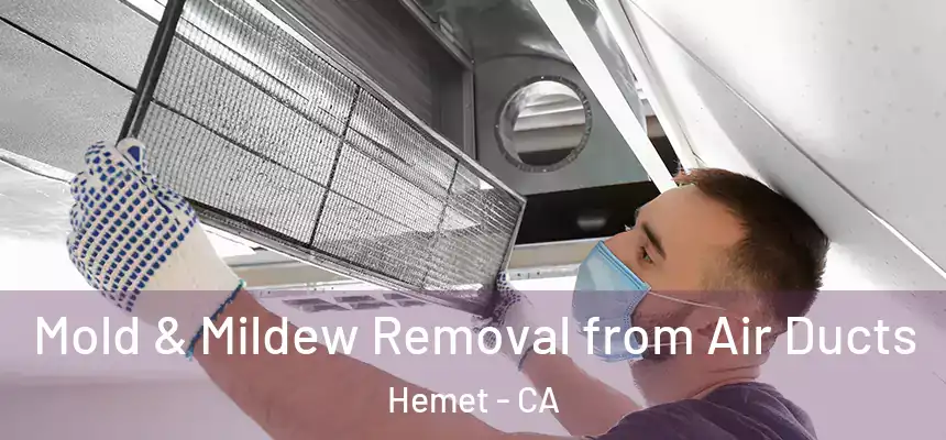  Mold & Mildew Removal from Air Ducts Hemet - CA
