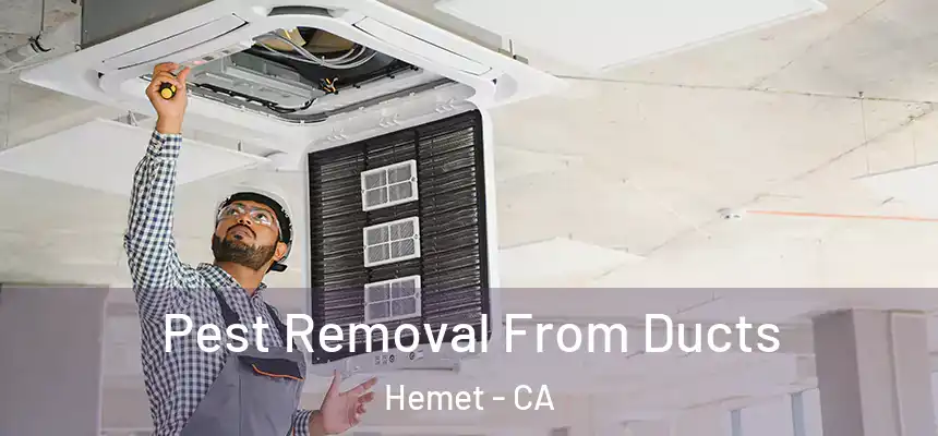 Pest Removal From Ducts Hemet - CA