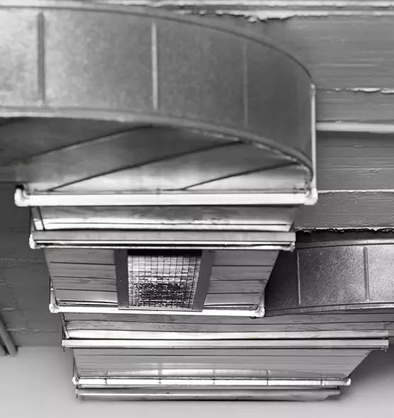 Professional Air Duct Pest Removal in Hemet, CA