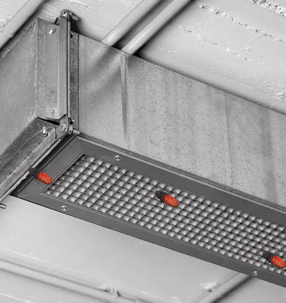 Affordable Insect Removal from Air Ducts in Hemet, CA