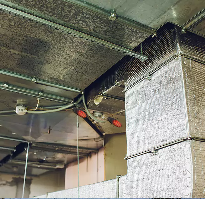 Why Homeowners & Businesses Trust Us in Hemet, CA?