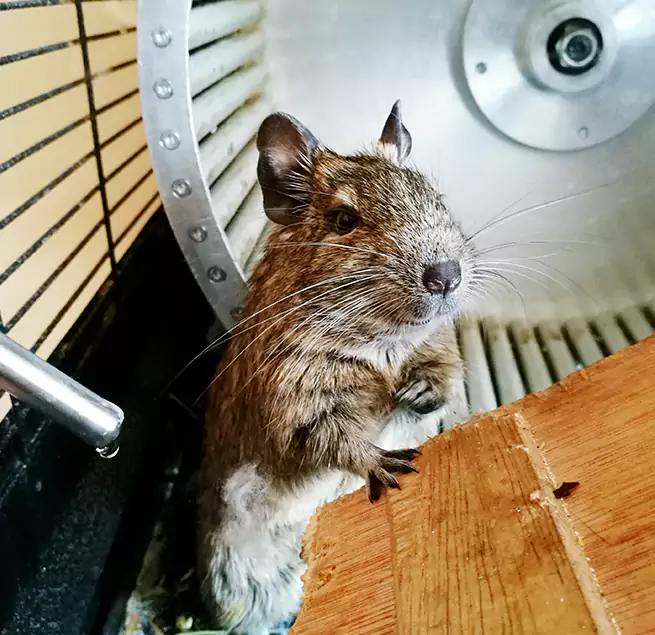 Why Homeowners & Businesses Trust Us Hemet, CA?