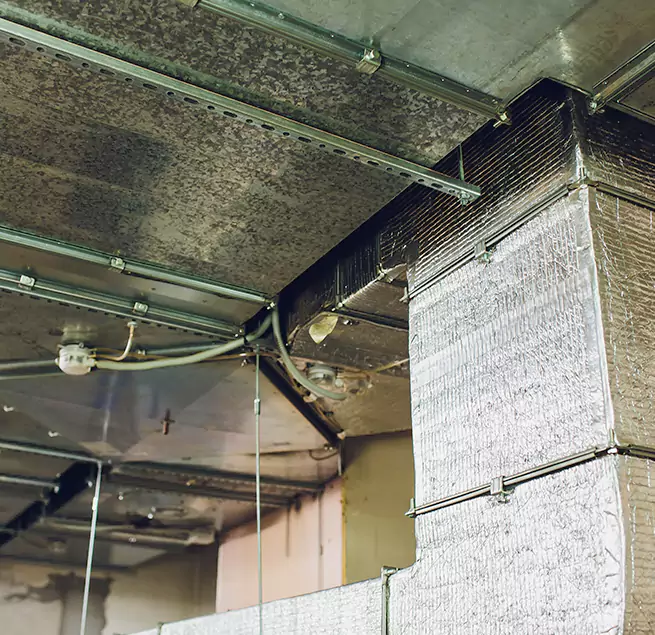 Why Homeowners & Businesses Trust Us in Hemet, CA?