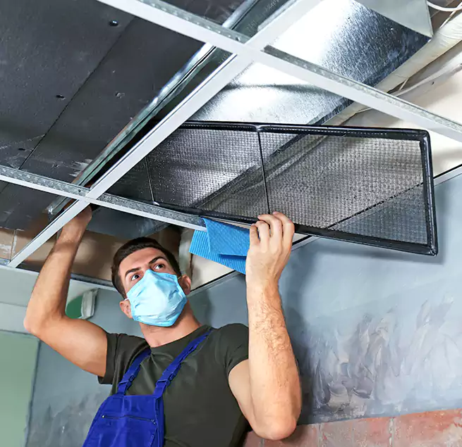 Why Homeowners Businesses Trust Us in Hemet, CA